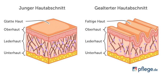 Haut im Alter
